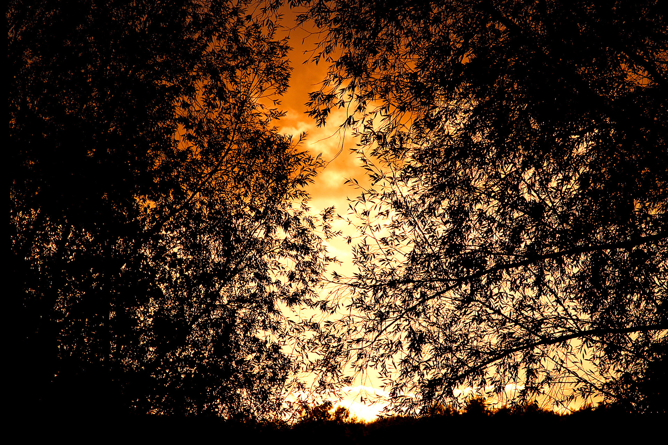 Sonnenuntergang